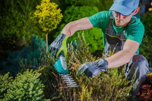 landscaping services New Paris